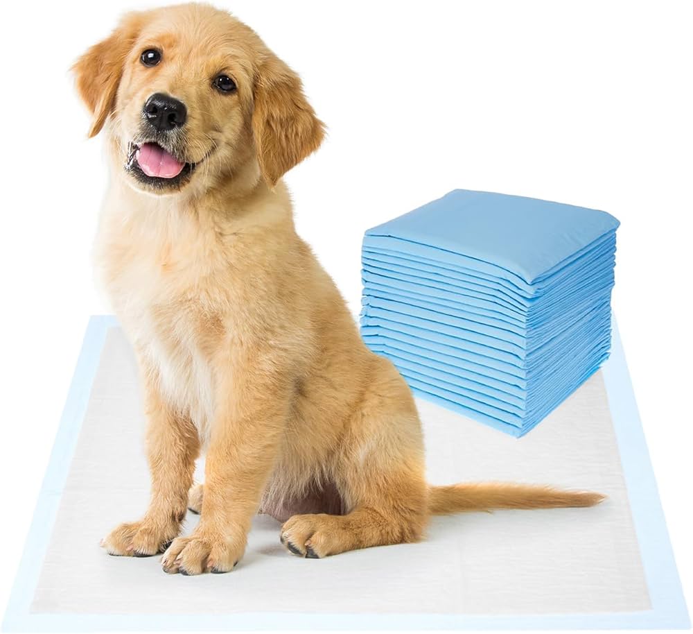 Amazon Basics Dog and Puppy Training Pads, Leakproof, 5-Layer Design with Quick-Dry Surface, Regular, Blue,Pack of 100